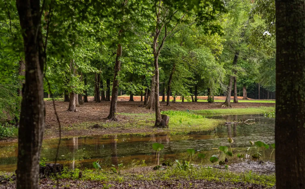 0 Cutoff Road Moundville AL 35474