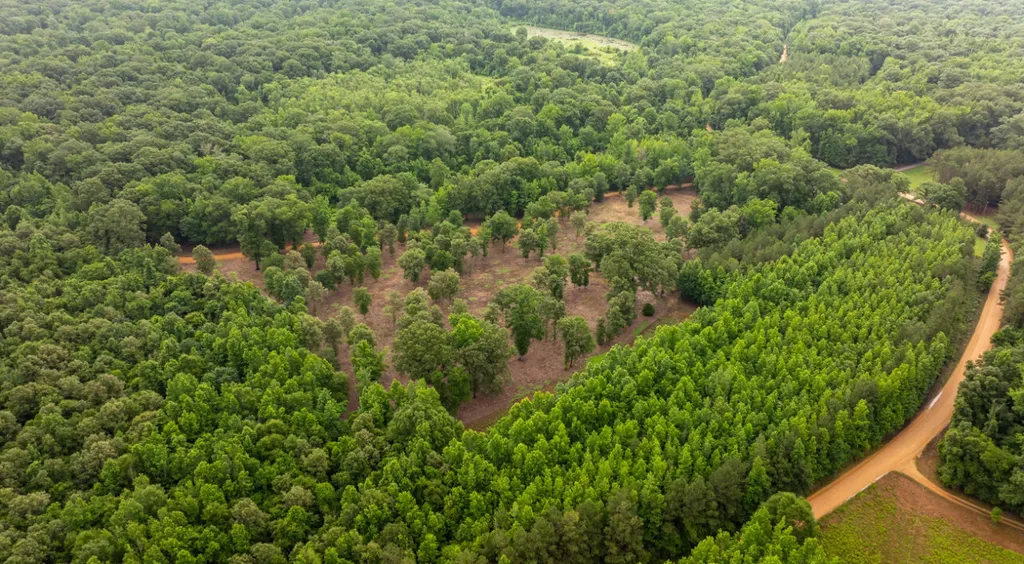 0 Cutoff Road Moundville AL 35474