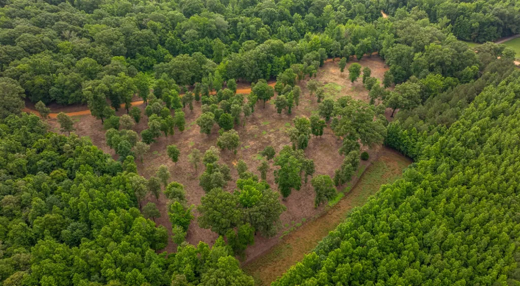 0 Cutoff Road Moundville AL 35474