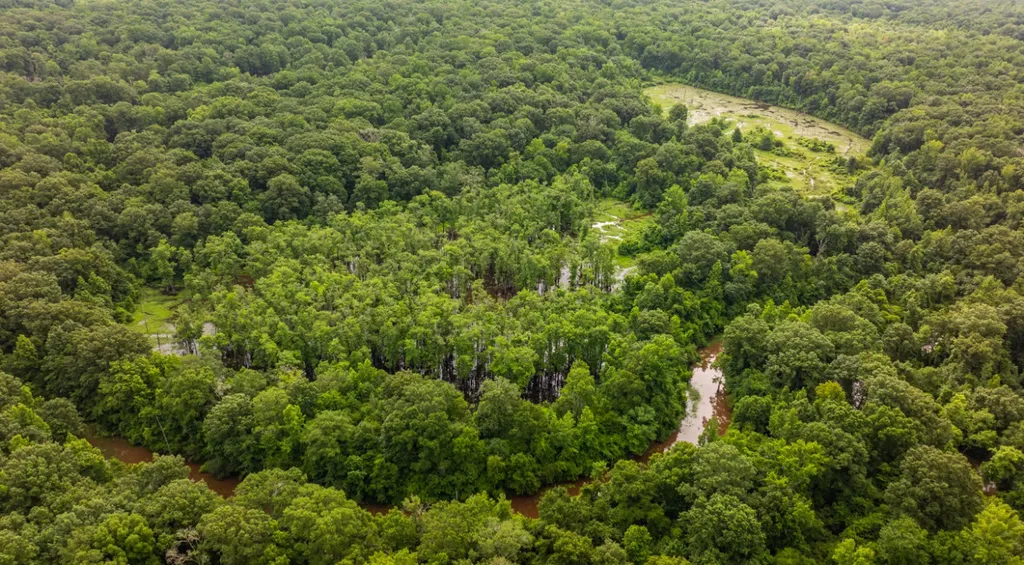 0 Cutoff Road Moundville AL 35474