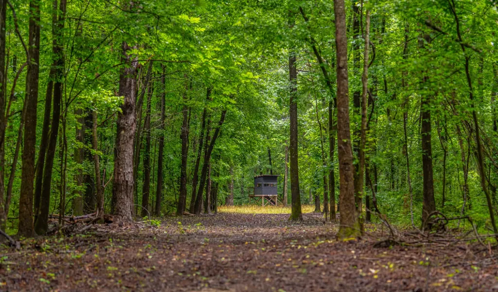 0 Cutoff Road Moundville AL 35474