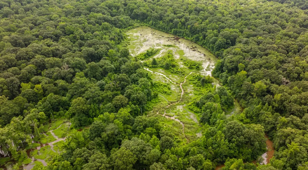 0 Cutoff Road Moundville AL 35474