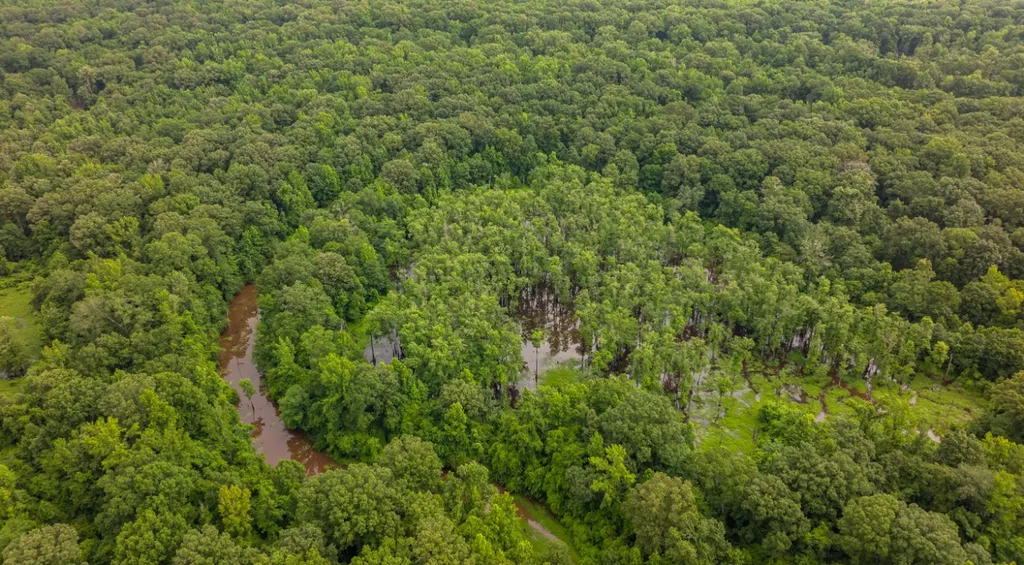 0 Cutoff Road Moundville AL 35474