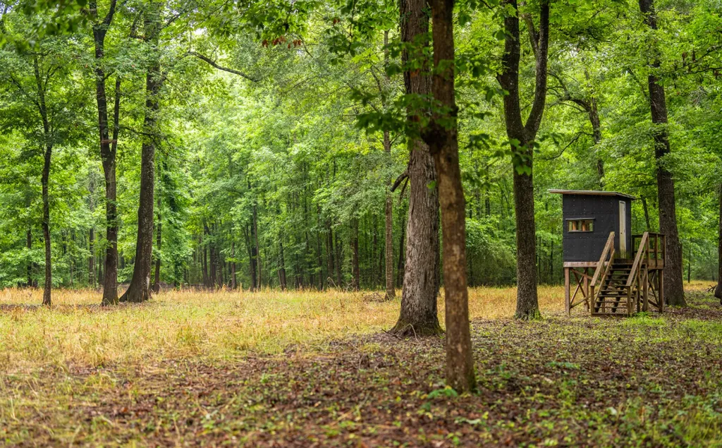 0 Cutoff Road Moundville AL 35474
