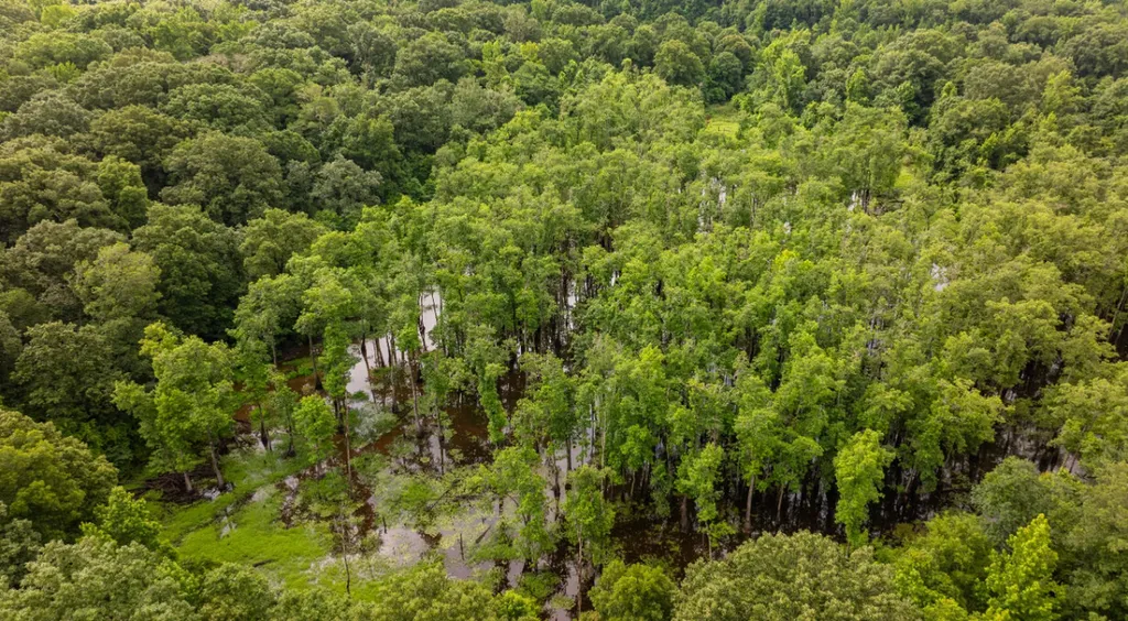 0 Cutoff Road Moundville AL 35474
