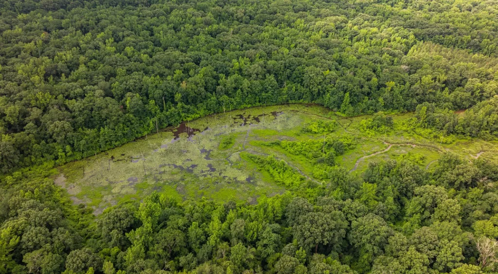 0 Cutoff Road Moundville AL 35474