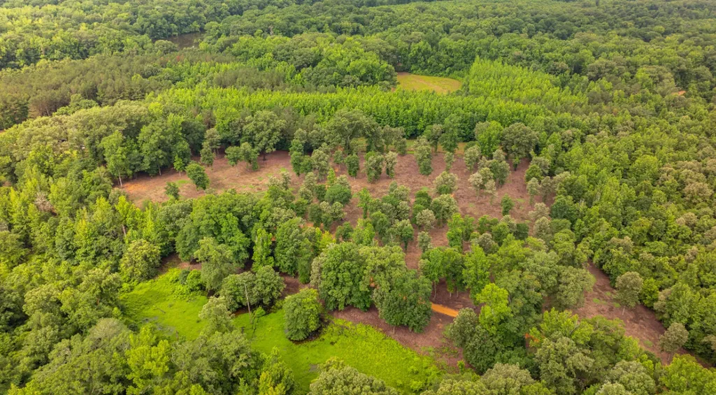 0 Cutoff Road Moundville AL 35474
