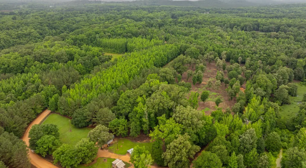 0 Cutoff Road Moundville AL 35474