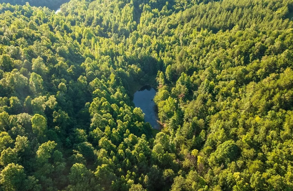 0 Gilmore Mine Road Tract A/b Cottondale AL 35453