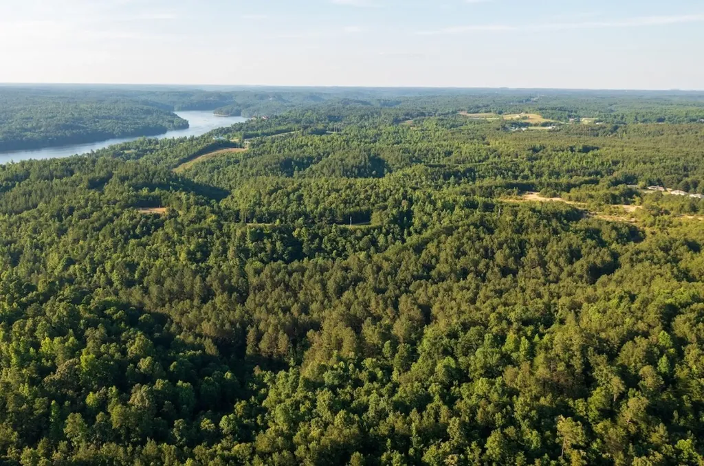 0 Gilmore Mine Road Tract A/b Cottondale AL 35453