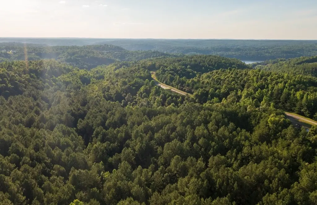 0 Gilmore Mine Road Tract A/b Cottondale AL 35453