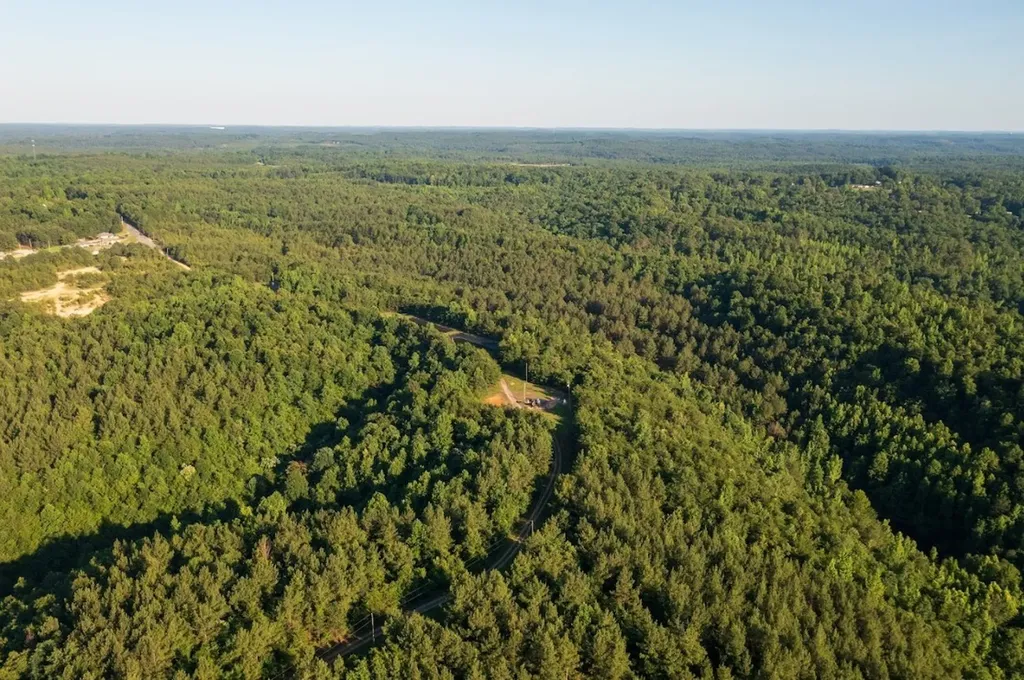 0 Gilmore Mine Road Tract A/b Cottondale AL 35453