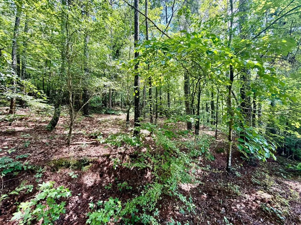 11.56 Stone Road Glencoe AL 35905