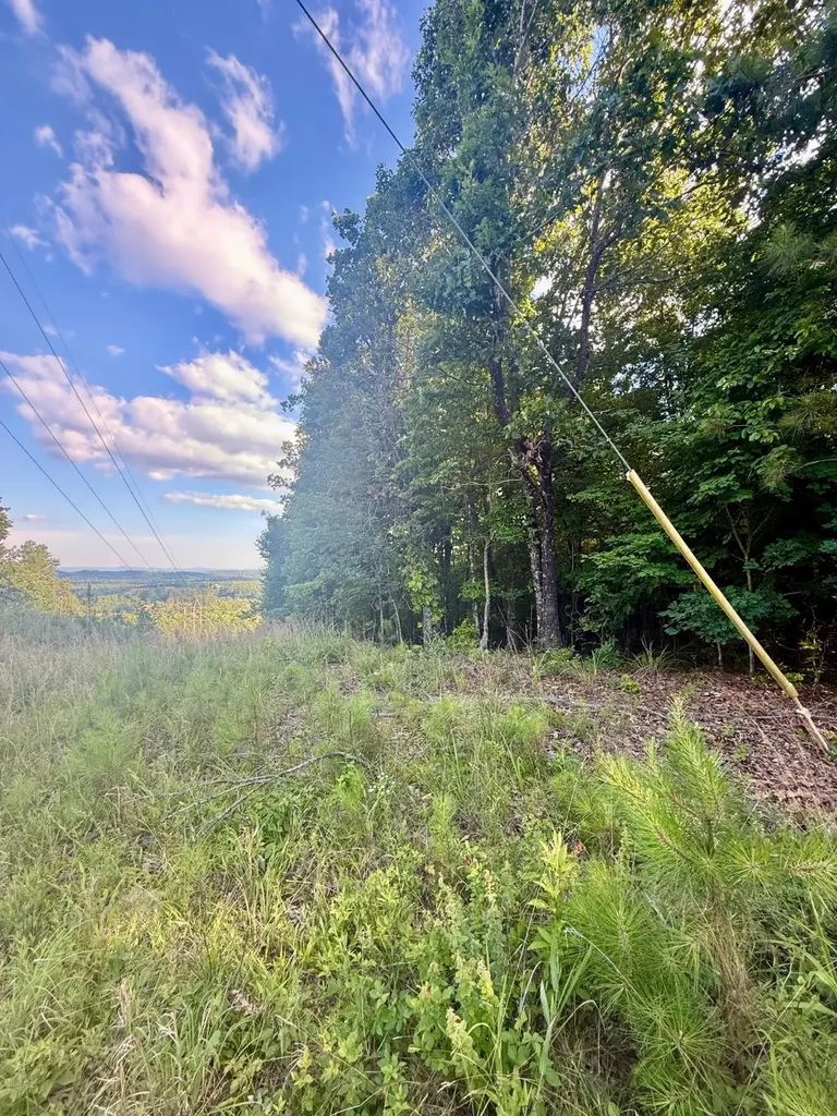 11.56 Stone Road Glencoe AL 35905