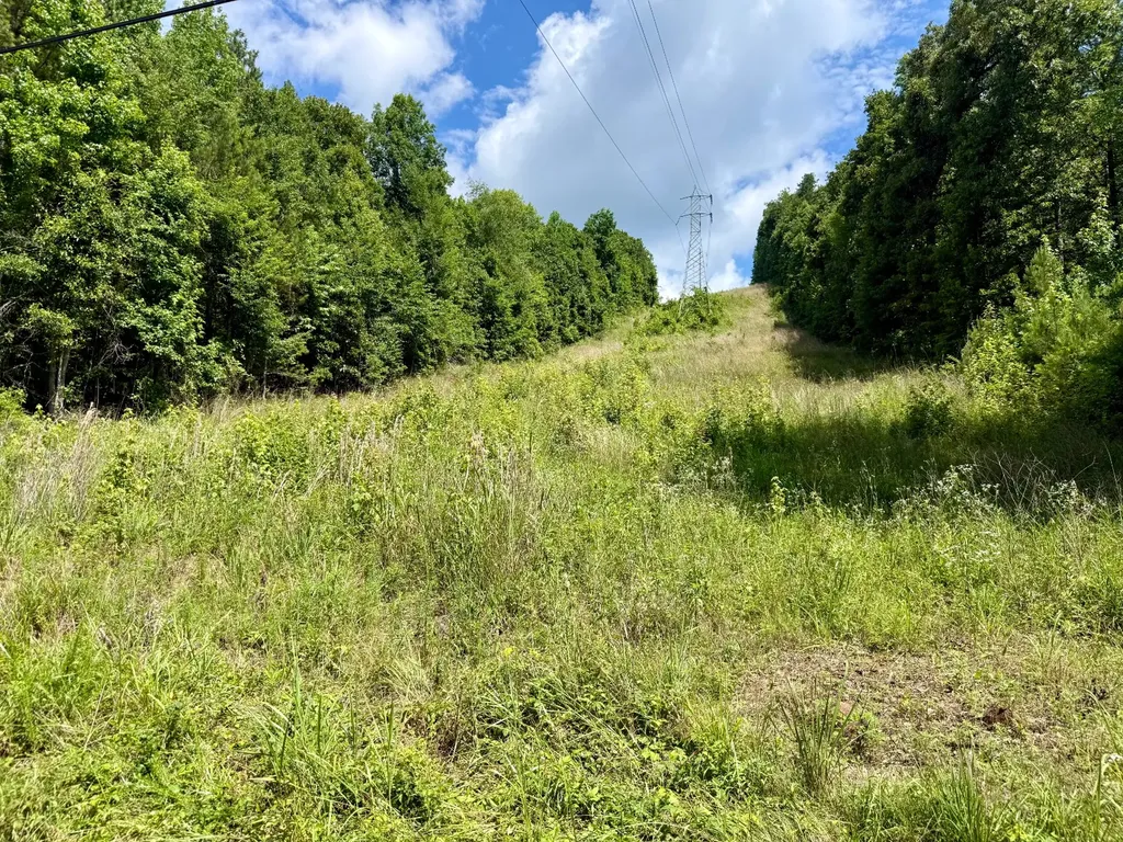 11.56 Stone Road Glencoe AL 35905