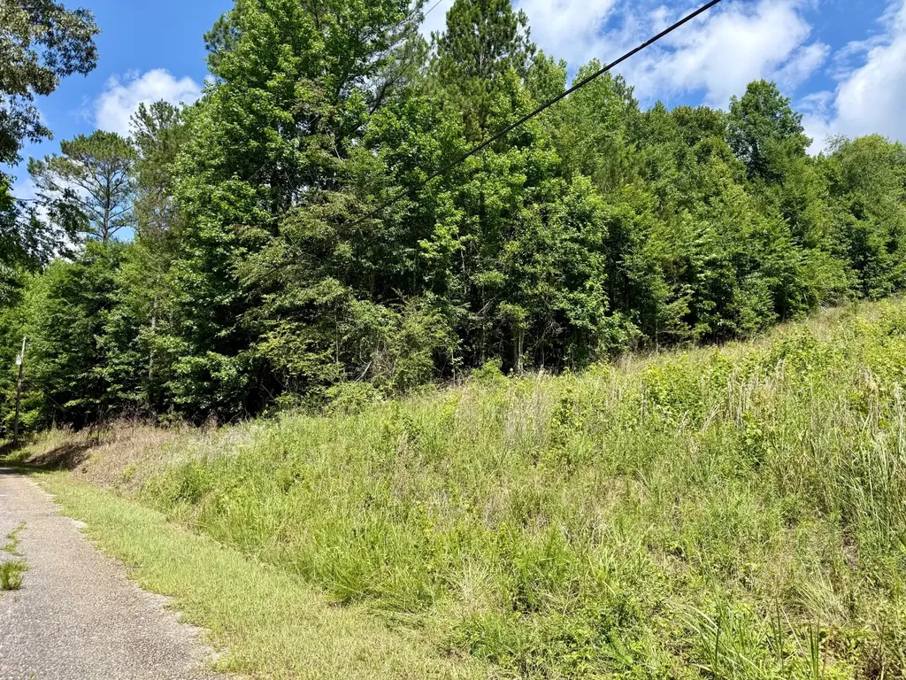 11.56 Stone Road Glencoe AL 35905