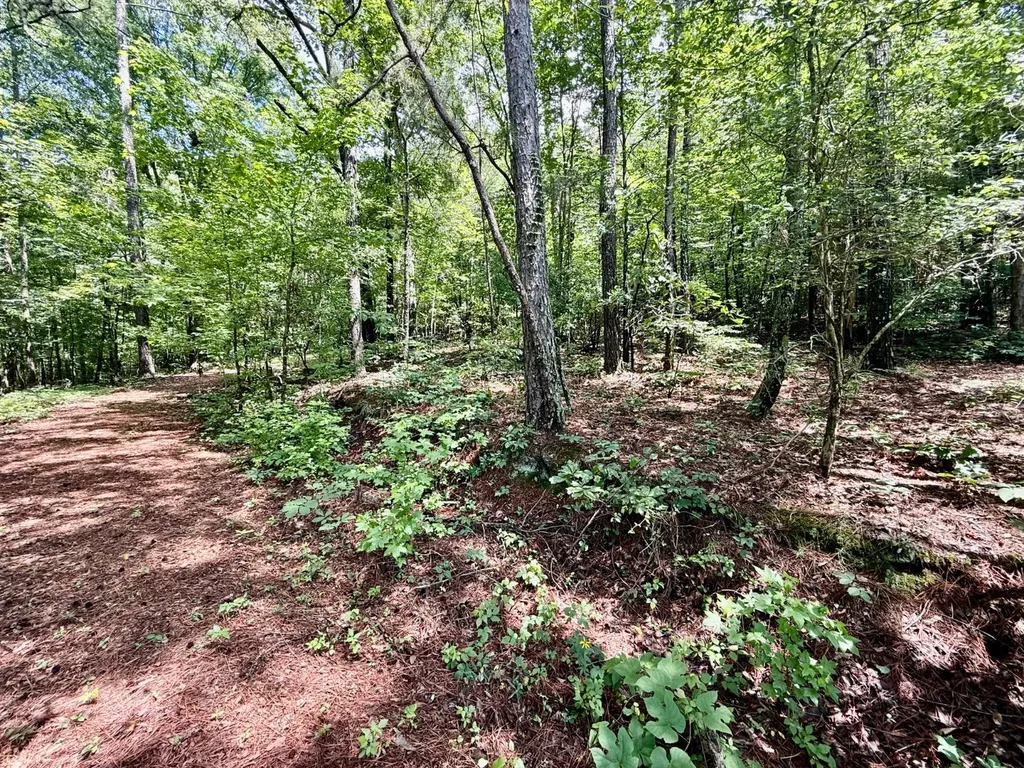 11.56 Stone Road Glencoe AL 35905