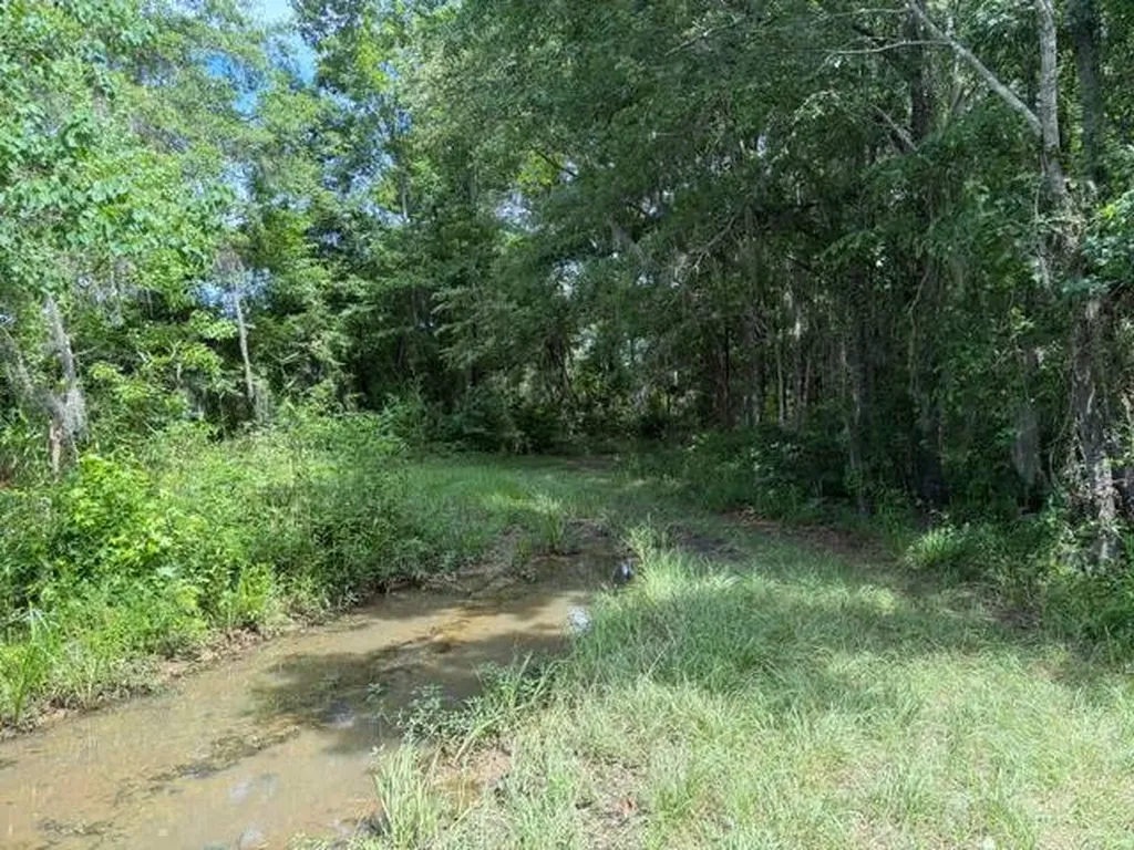 0 Tupelo Road Dozier AL 36028