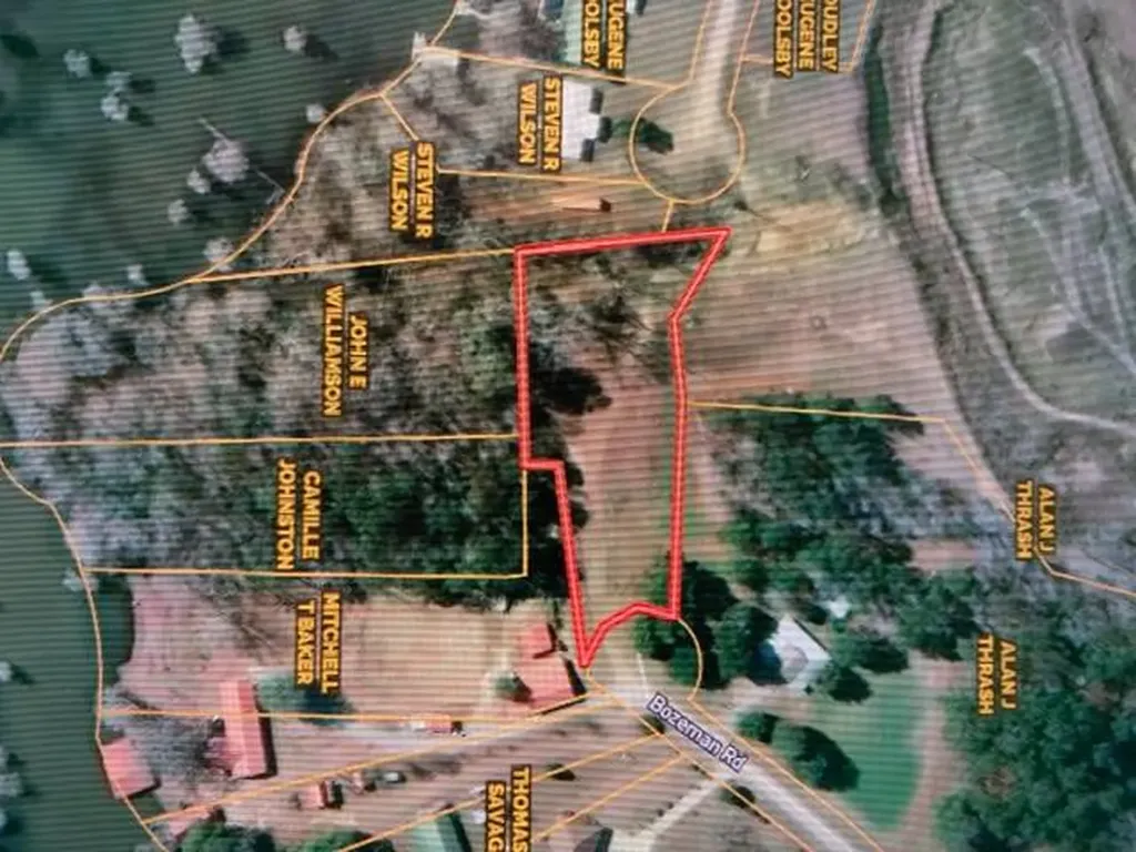 0 Tupelo Road Dozier AL 36028