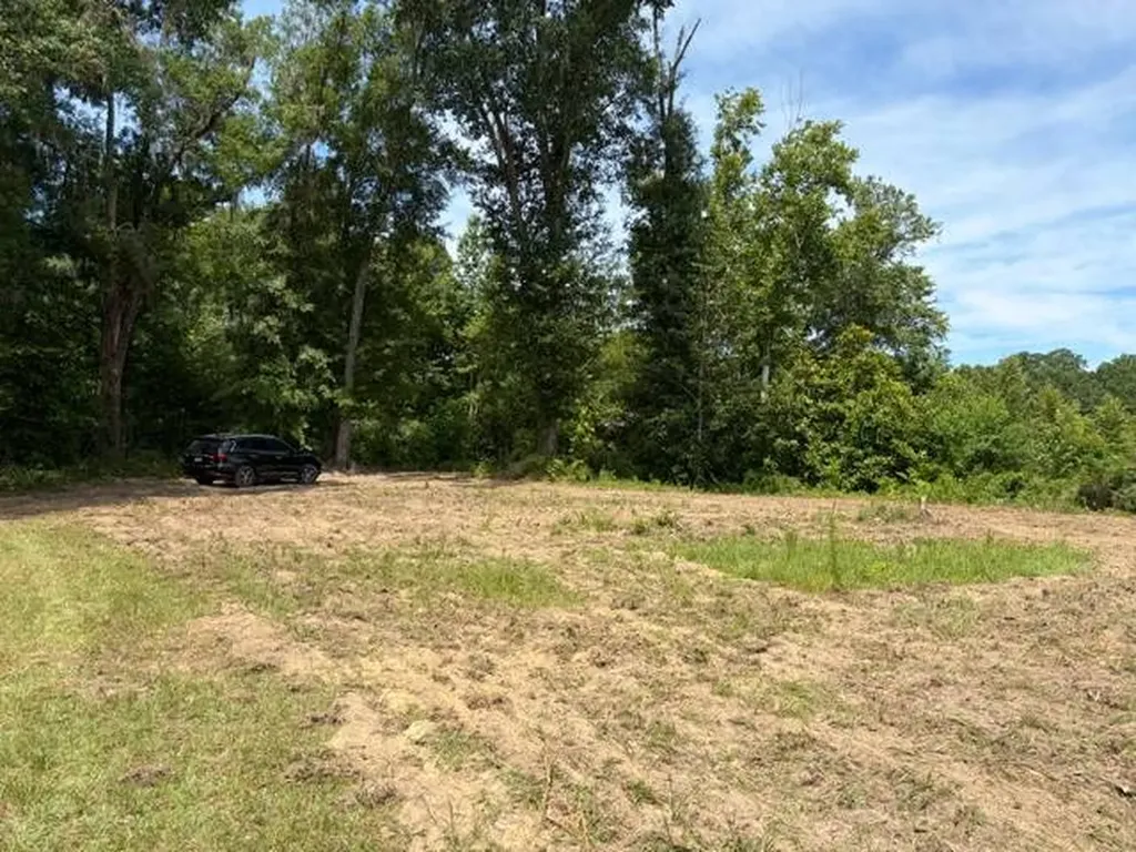 0 Tupelo Road Dozier AL 36028