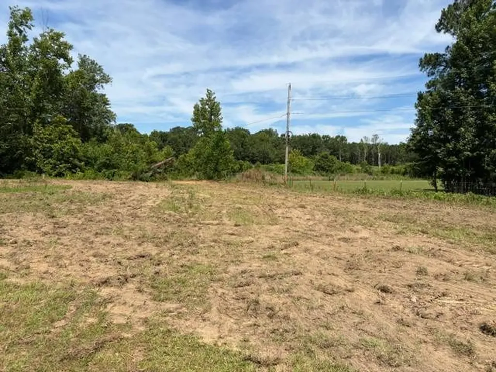0 Tupelo Road Dozier AL 36028