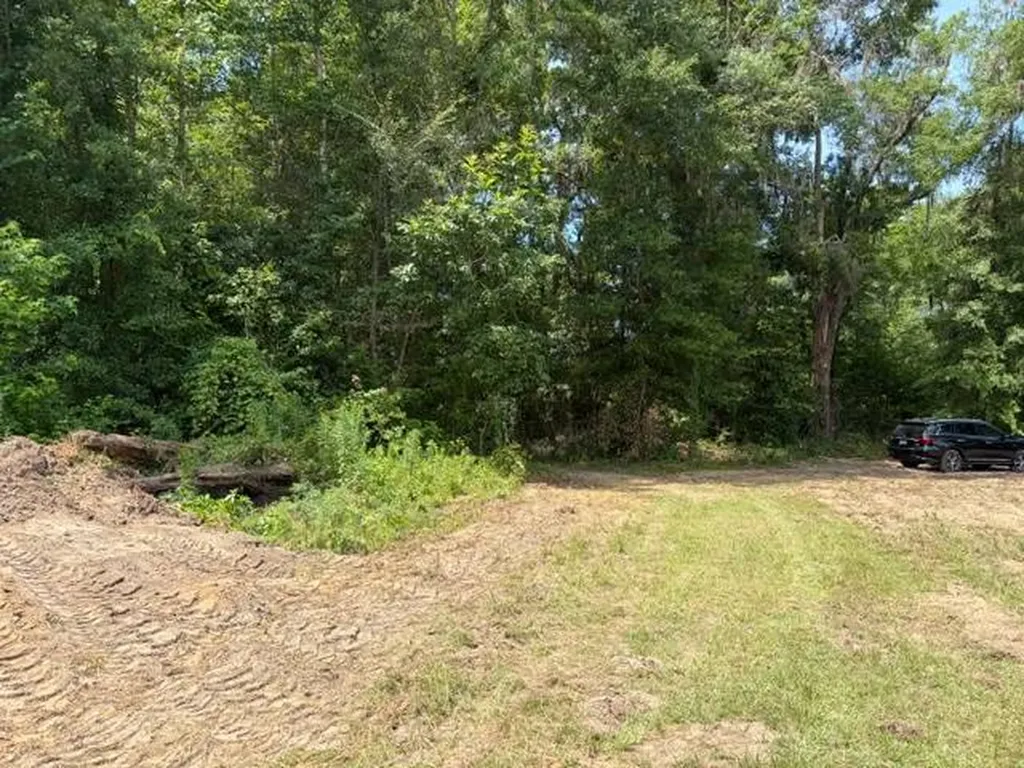 0 Tupelo Road Dozier AL 36028