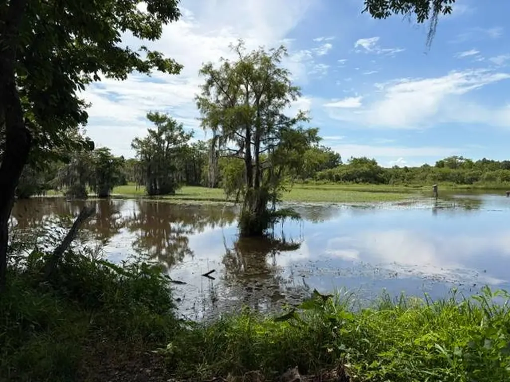 0 Tupelo Road Dozier AL 36028
