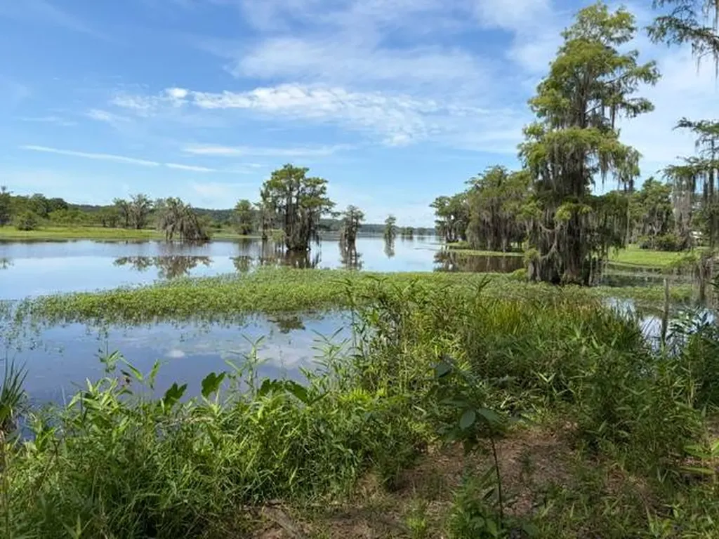 0 Tupelo Road Dozier AL 36028