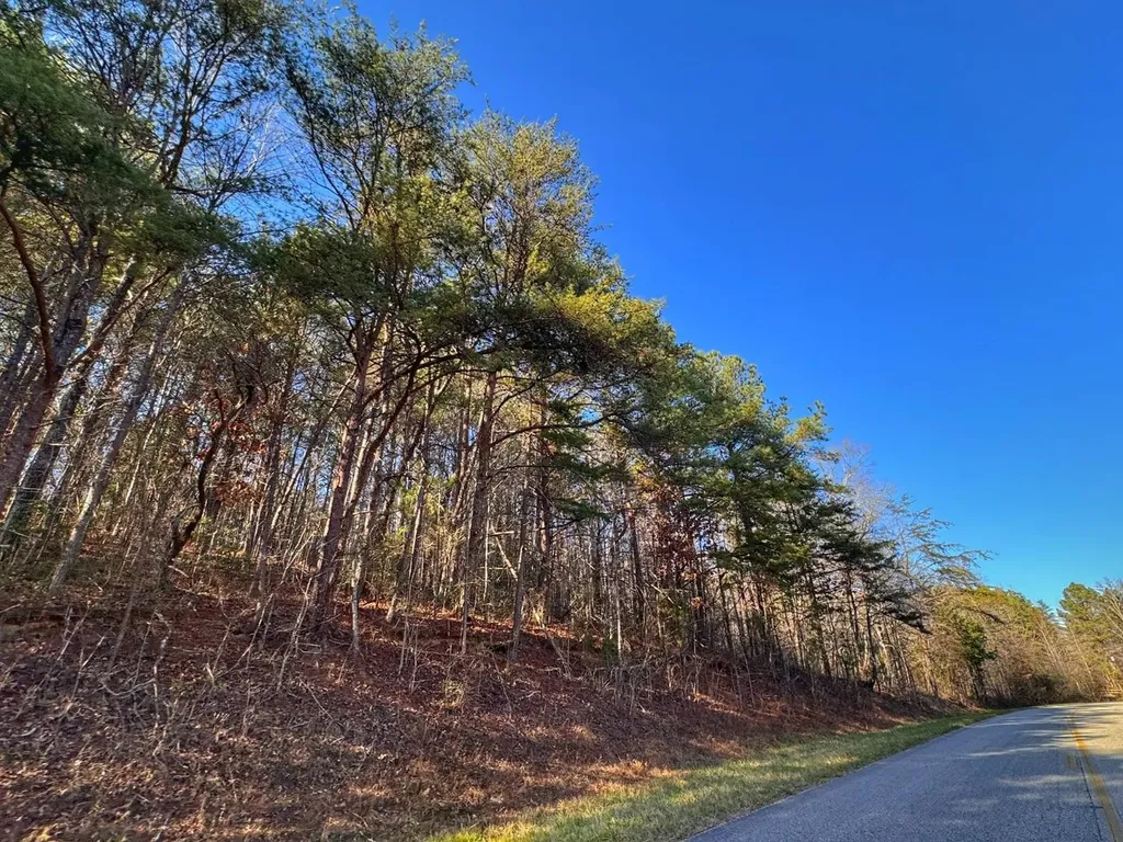 02 County Road 34 Haleyville AL 35565