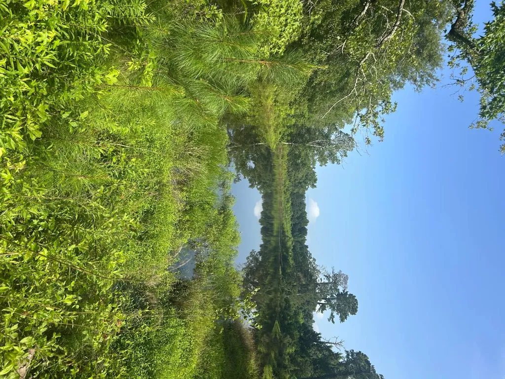 0 Highway 29 Luverne AL 36049