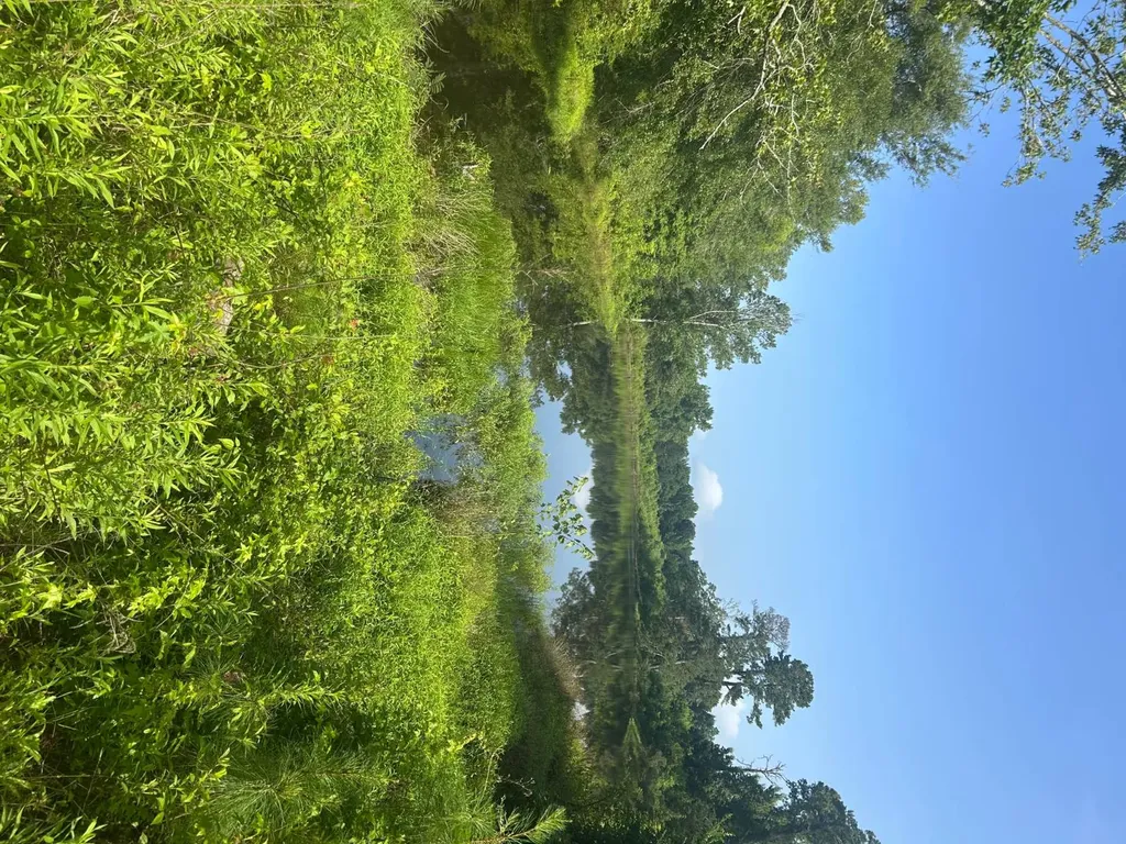 0 Highway 29 Luverne AL 36049
