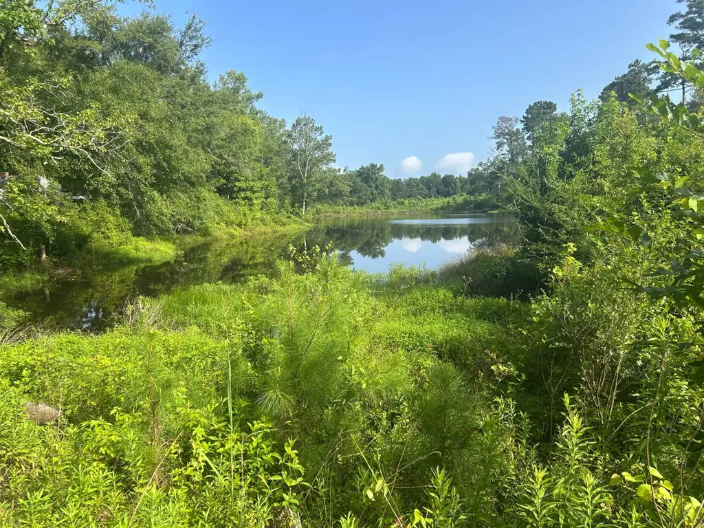 0 Highway 29 Luverne AL 36049