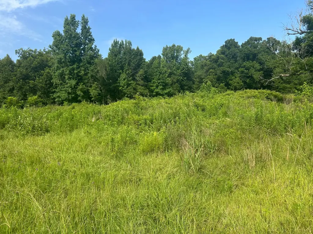 0 Highway 29 Luverne AL 36049