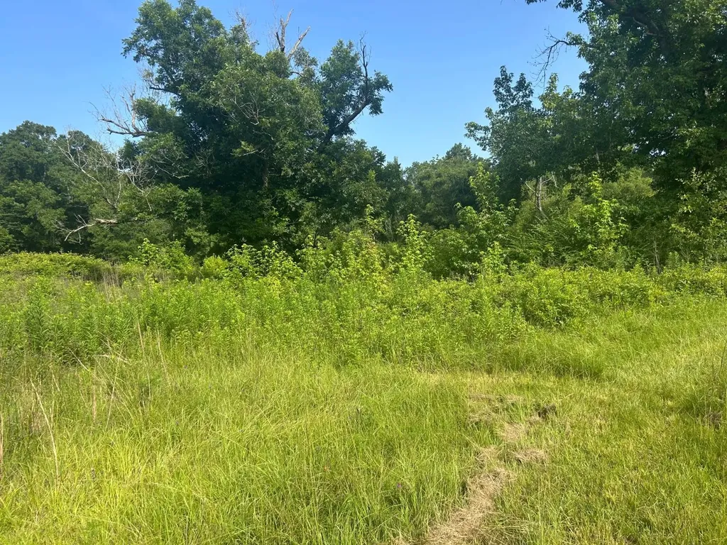 0 Highway 29 Luverne AL 36049
