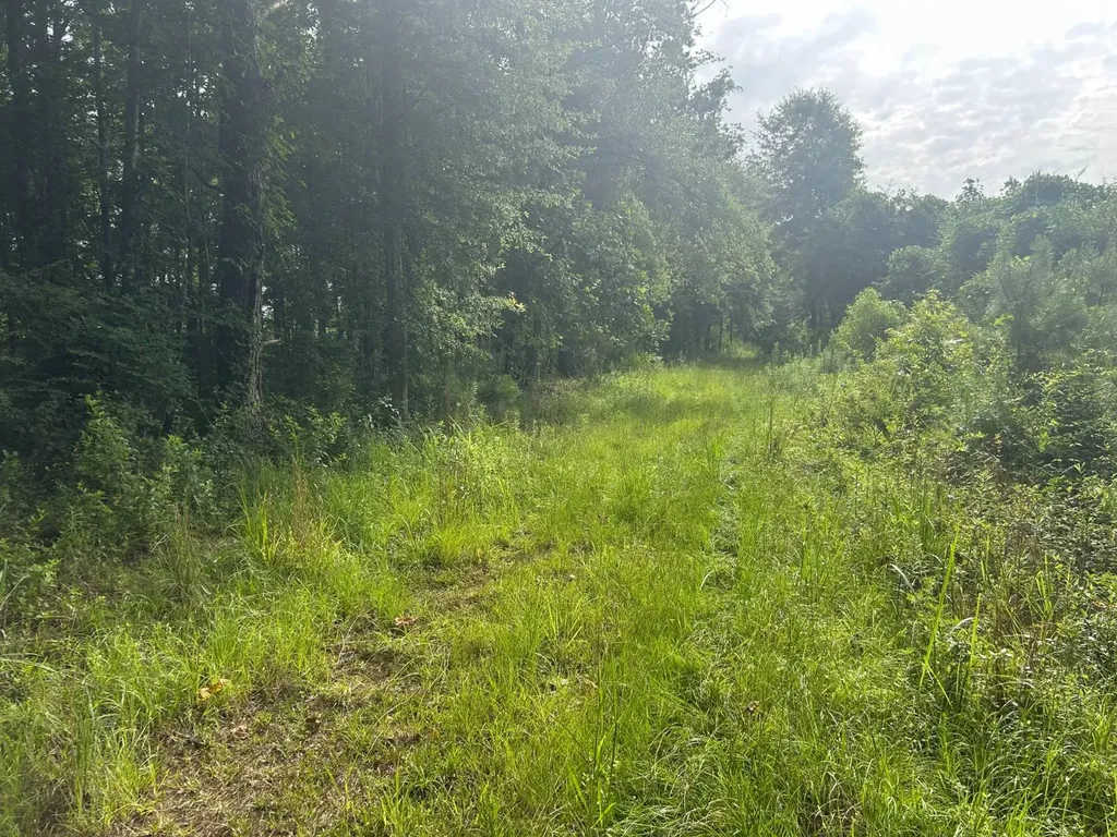 0 Highway 29 Luverne AL 36049
