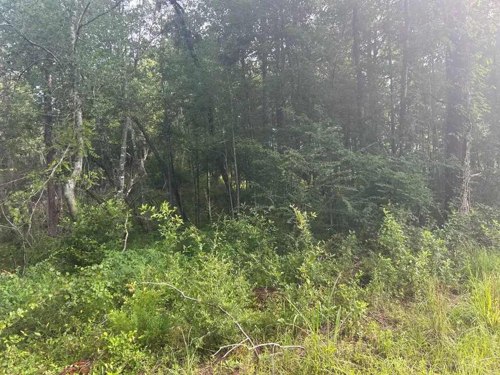 0 Highway 29 Luverne AL 36049