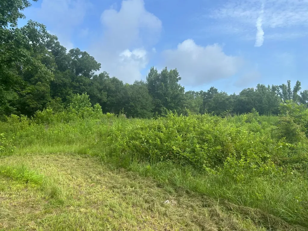 0 Highway 29 Luverne AL 36049