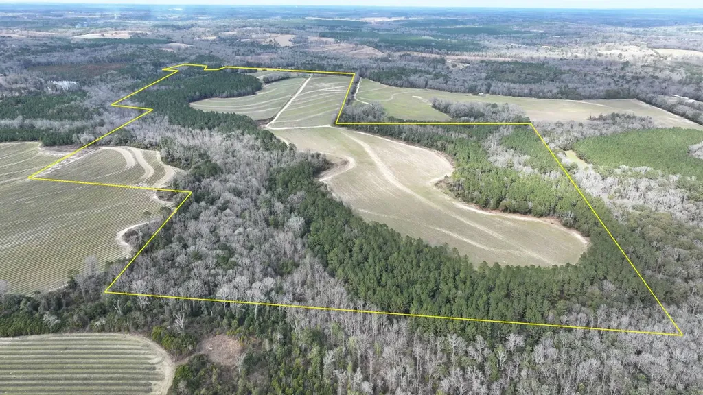 Xx Highway 201 Brundidge AL 36010