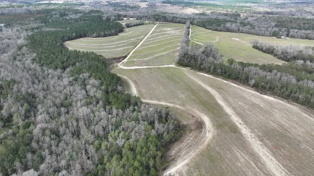 Xx Highway 201 Brundidge AL 36010