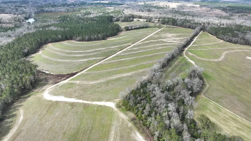 Xx Highway 201 Brundidge AL 36010