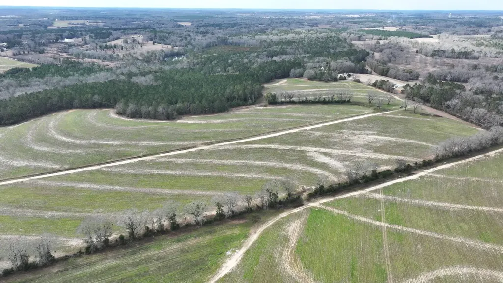 Xx Highway 201 Brundidge AL 36010