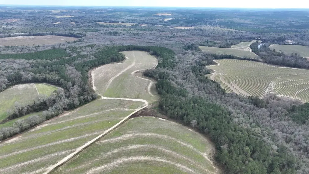 Xx Highway 201 Brundidge AL 36010