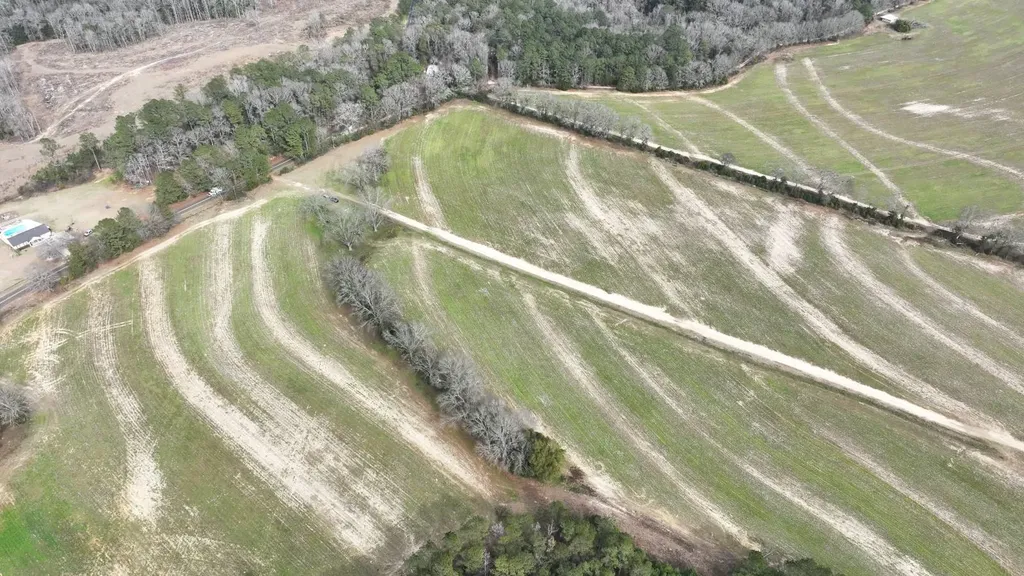 Xx Highway 201 Brundidge AL 36010