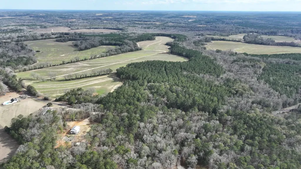Xx Highway 201 Brundidge AL 36010