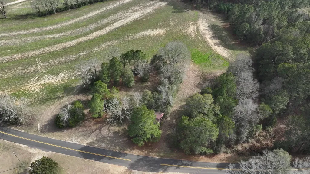 Xx Highway 201 Brundidge AL 36010