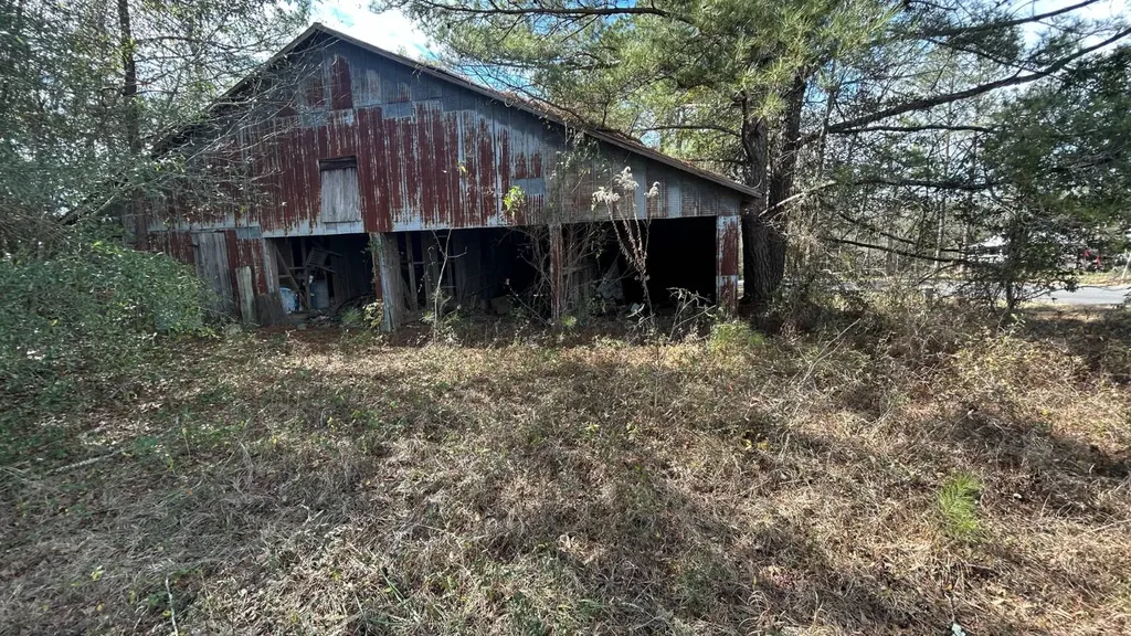 Xx Highway 201 Brundidge AL 36010