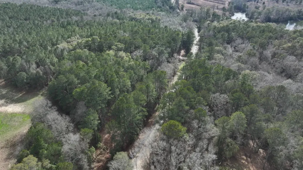 Xx Highway 201 Brundidge AL 36010