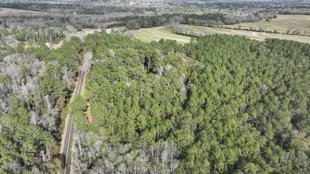 Xx Highway 201 Brundidge AL 36010