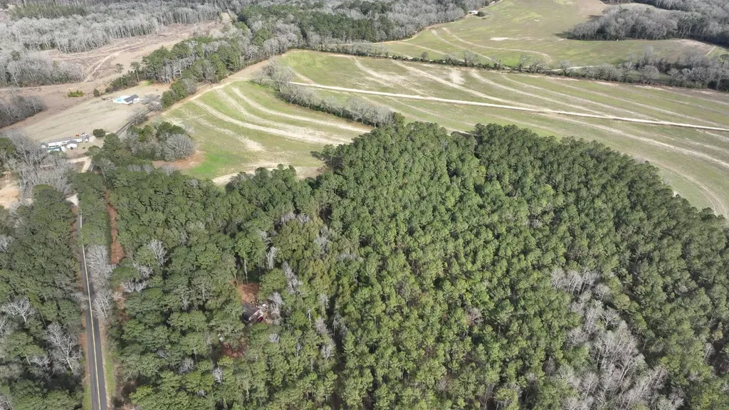 Xx Highway 201 Brundidge AL 36010