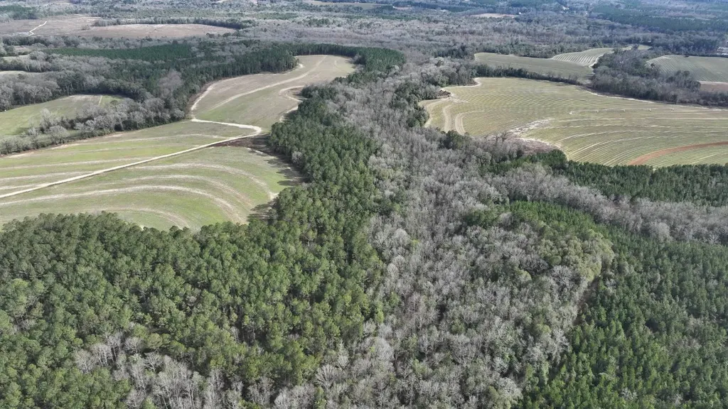 Xx Highway 201 Brundidge AL 36010
